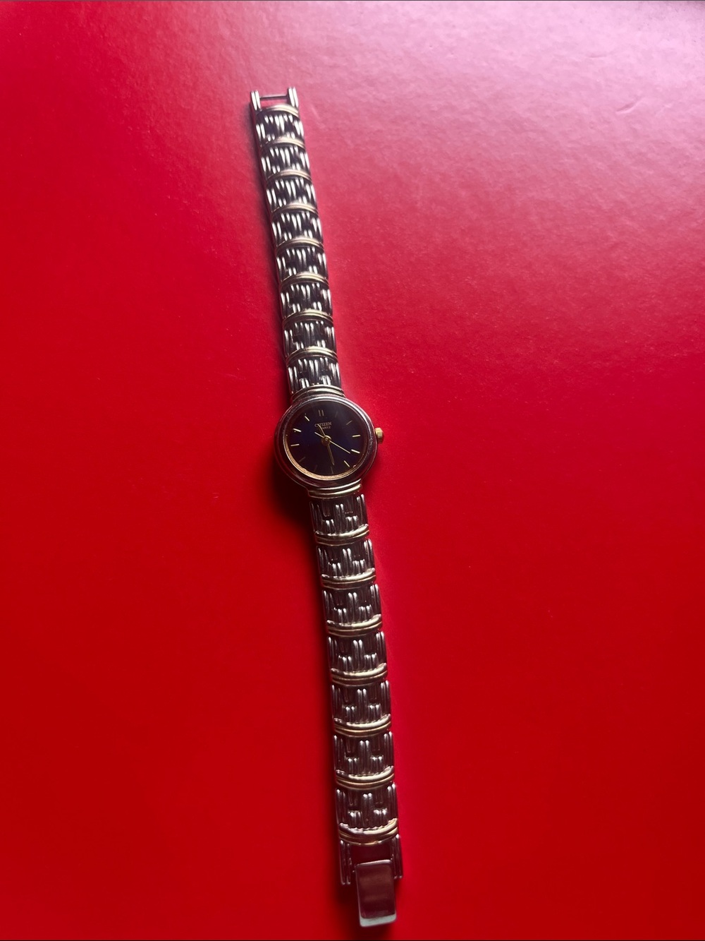 Citizen Two-Tone Stainless Steel Watch with Black Dial